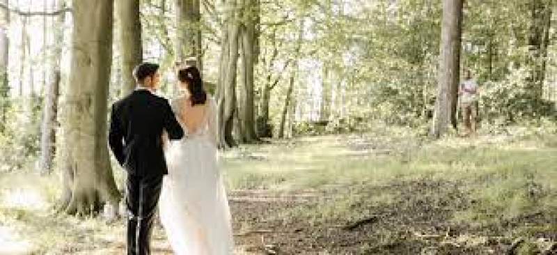‘Romantic woodland’ wedding venue launches in Northumberland