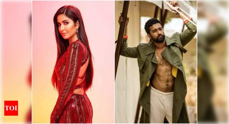 Vicky Kaushal's sister bluffed, 45 hotels booked in Ranthambore for wedding with Katrina Kaif on December 7,8,9 Exclusive! | Hindi Movie News