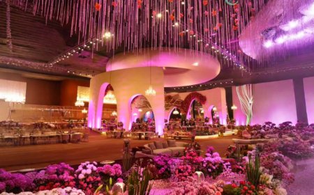 R.A. Entertainment, Ashok Vihar, ₹75,000, Delhi