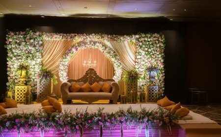 Pearl Pro India, Rohini, ₹1,00,000, Delhi