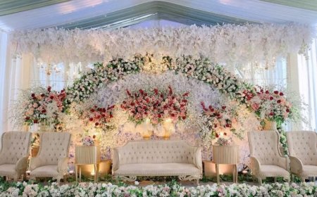 Wedding Surpriserz, Chhatarpur, ₹1,50,000, South Delhi