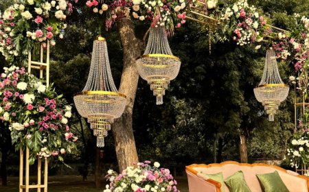 The Vintage Aarone Farms, Fatehpur Beri Chhatarpur, ₹3,00,000, New Delhi