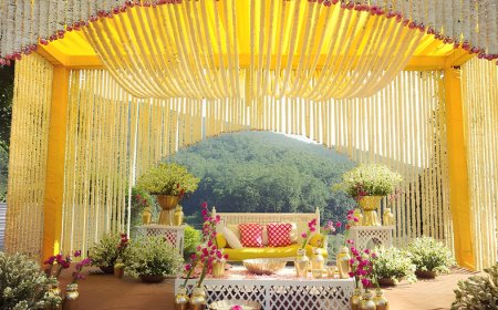 Indigo Events Planner, Hari Nagar Ashram, ₹2,50,000, Delhi
