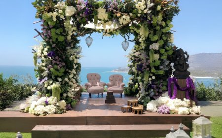 Innovative Ideaz And Events Pvt Ltd, Vasant Vihar, ₹1,50,000, South Delhi