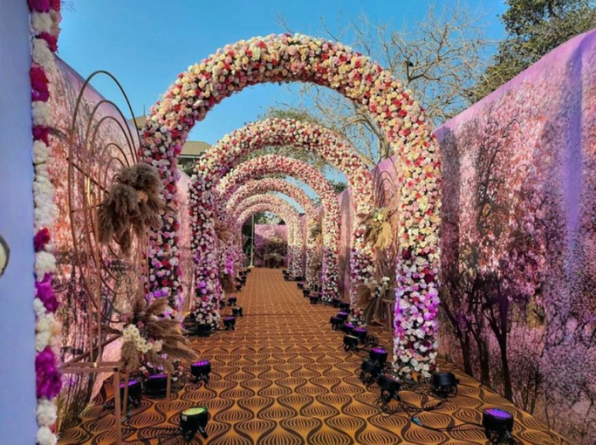 Sparkles Event, Pitampura, ₹1,20,000, New Delhi