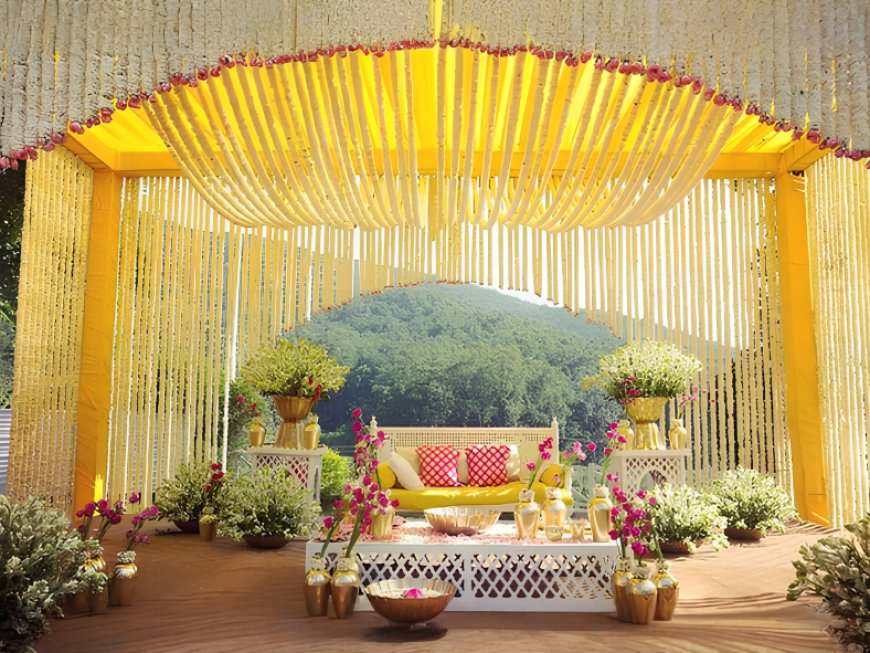 Indigo Events Planner, Hari Nagar Ashram, ₹2,50,000, Delhi