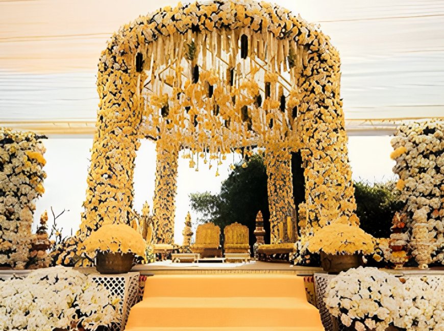 WE3 Events, Dwarka Mor, ₹1,20,000, New Delhi