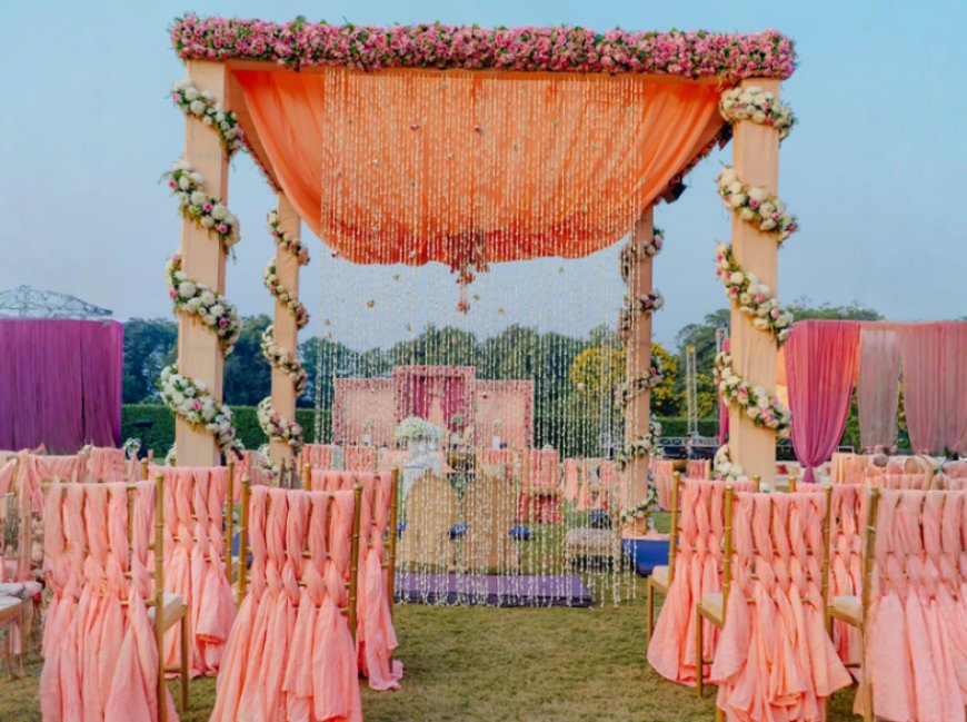 Vibes Entertainment, Todapur, ₹1,00,000, New Delhi