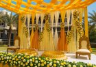 Orchid Flower Decorator, Ashok Vihar, ₹14,000, North Delhi