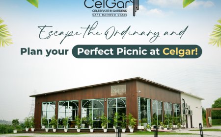 CelGar, Sarai Kale Khan, ₹100000, South Delhi