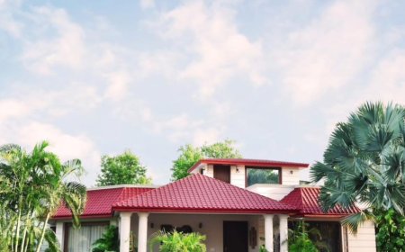 Dimple Farm, Dera Village, ₹2,00,000 South Delhi