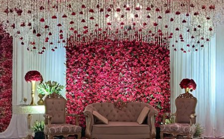 The Raw Entertainment, Vasant Kunj, ₹50,000, South Delhi