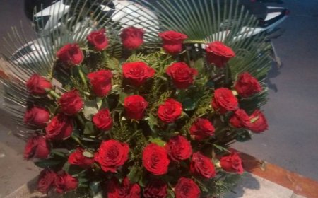 Shrishti Flower, Neb Sarai, ₹14,000, South Delhi